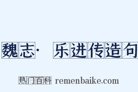 魏志·乐进传造句是什么意思的图片